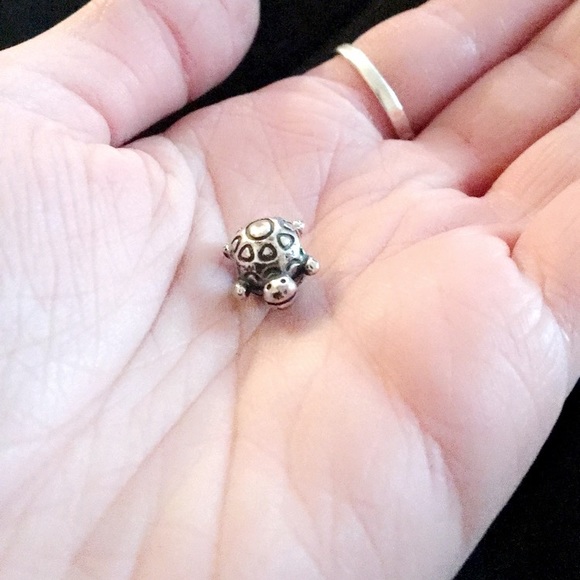 Jewelry - Turtle Charm